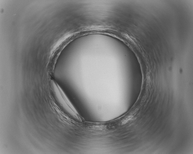 X0000053061406200508081142