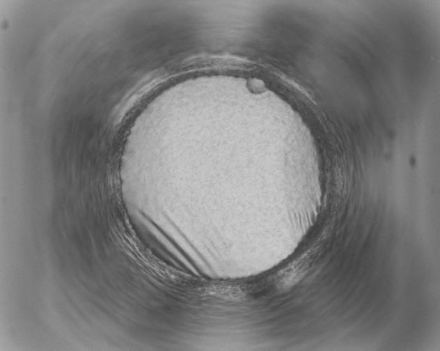 X0000053061407200508081142