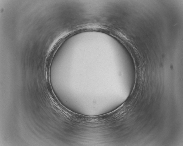 X0000053061408200508081142