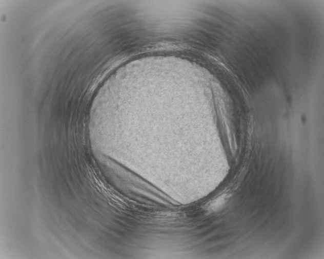 X0000053061409200508081142