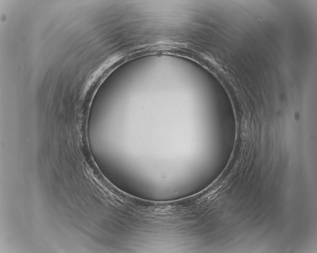 X0000053061410200508081142