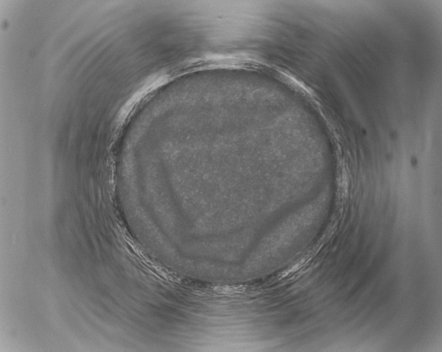 X0000053061411200508081142