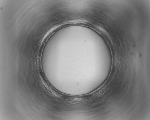 X0000053061412200508081142