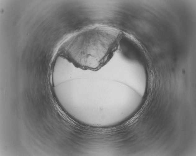 X0000053061413200508081142