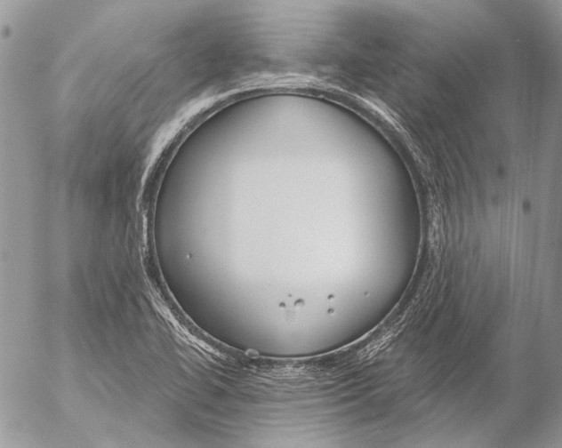 X0000053061414200508081142