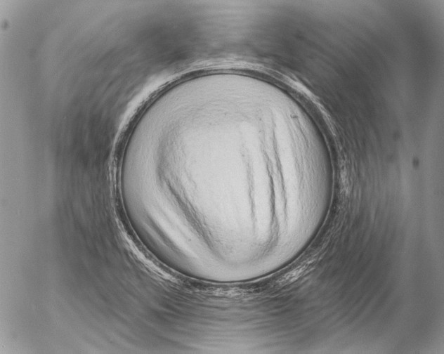 X0000053061416200508081142