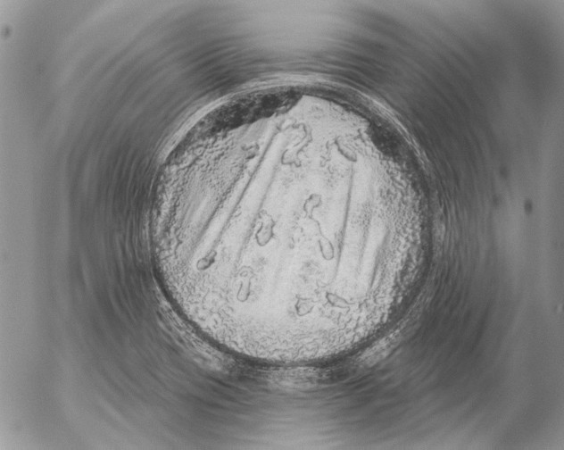 X0000053061417200508081142