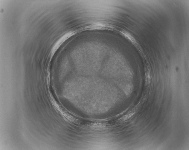 X0000053061418200508081142