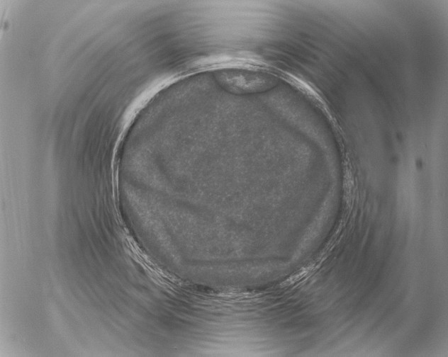 X0000053061419200508081142