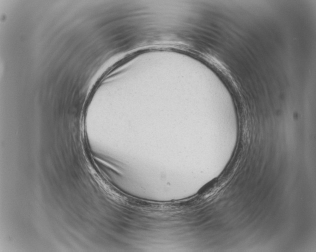 X0000053061420200508081142