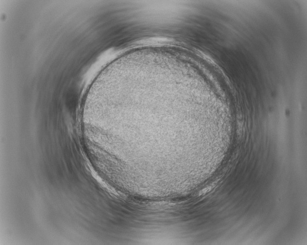 X0000053061421200508081142