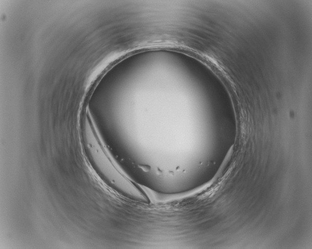 X0000053061422200508081142