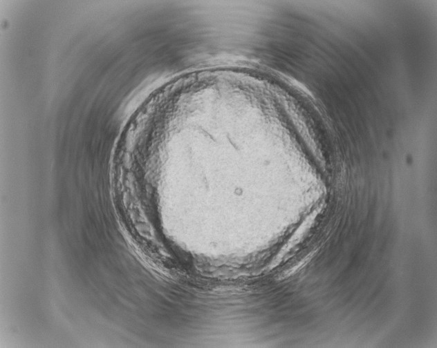 X0000053061423200508081142