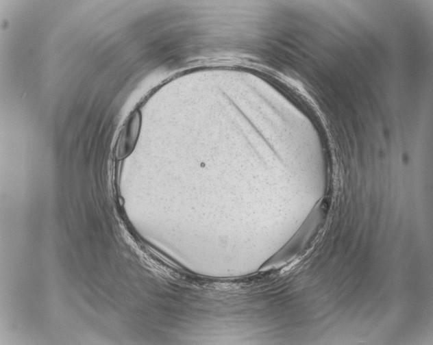 X0000053061424200508081142