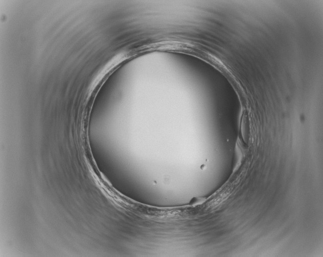 X0000053061426200508081142