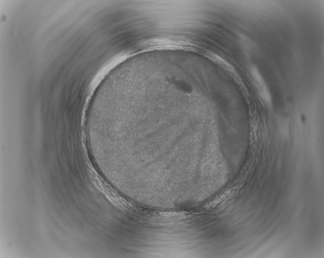 X0000053061427200508081142