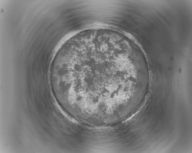 X0000053061429200508081142