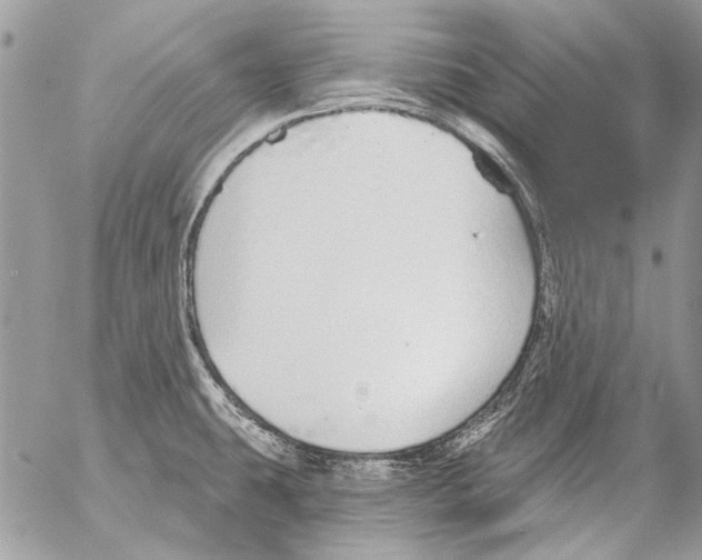 X0000053061431200508081142