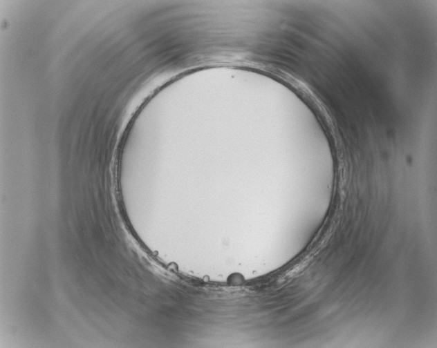 X0000053061432200508081142