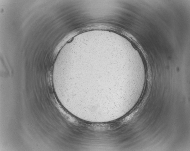 X0000053061433200508081142