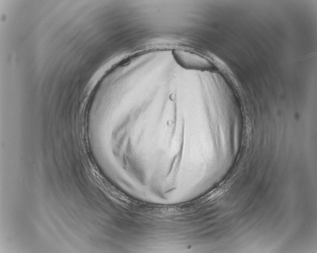 X0000053061435200508081143