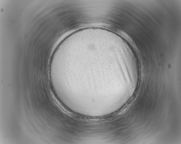 X0000053061436200508081143