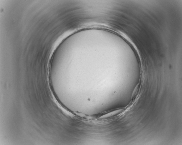 X0000053061437200508081143