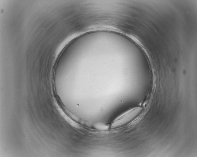 X0000053061438200508081143