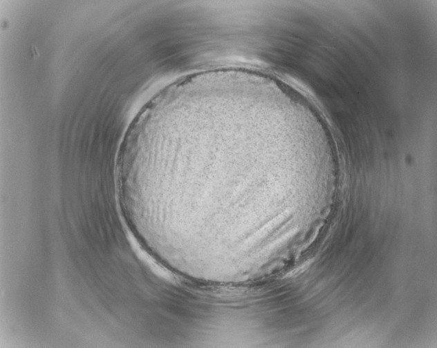 X0000053061439200508081143