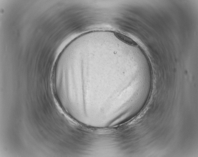 X0000053061440200508081143