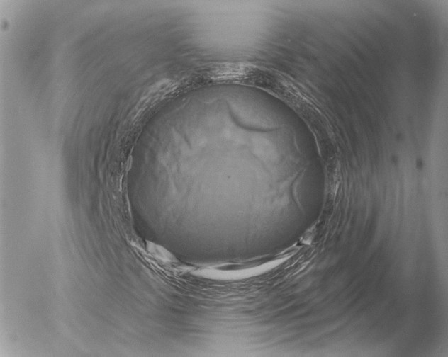 X0000053061441200508081142