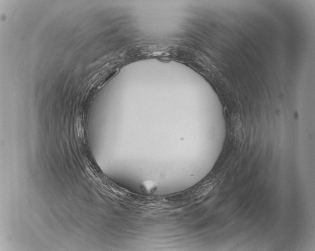 X0000053061442200508081142