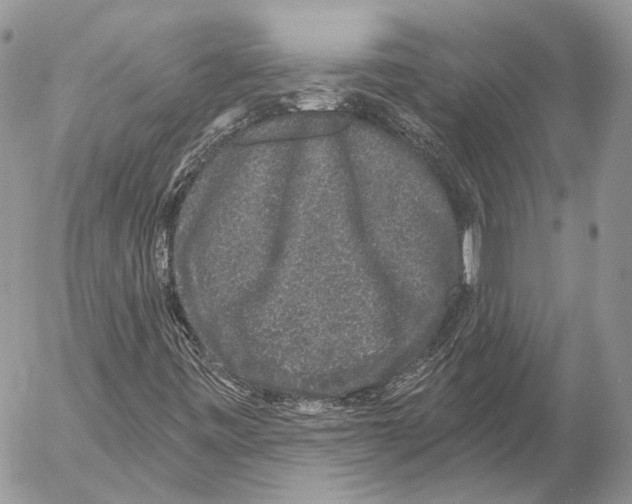 X0000053061443200508081142