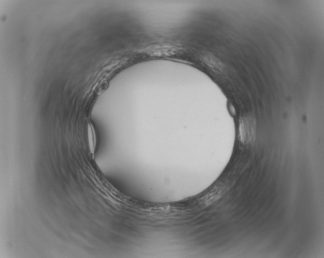 X0000053061444200508081142