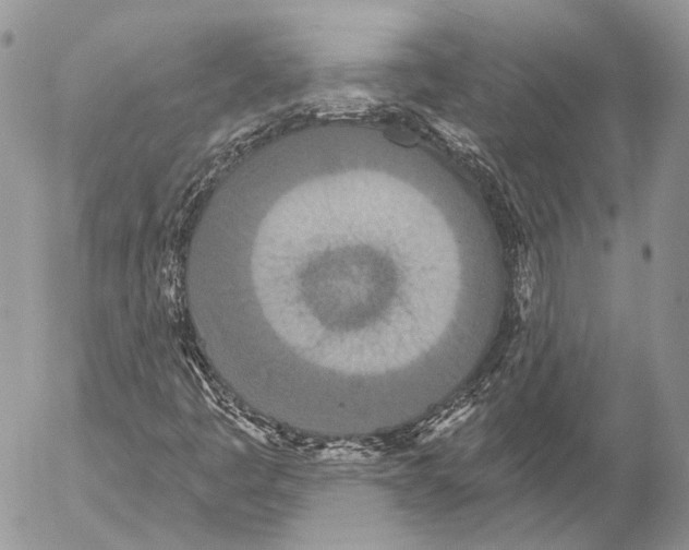 X0000053061445200508081142