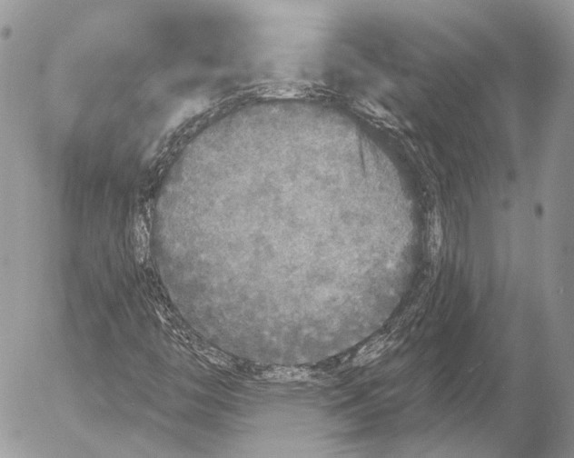 X0000053061446200508081142