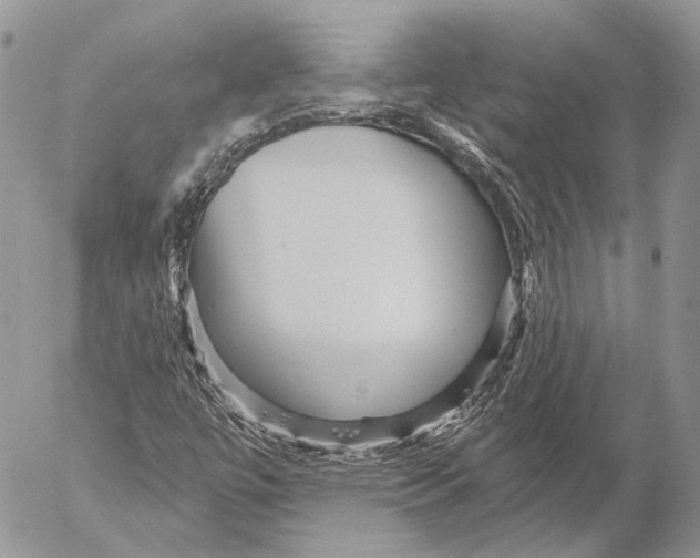 X0000053061447200508081142