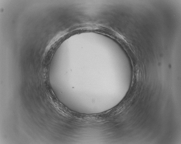 X0000053061448200508081142