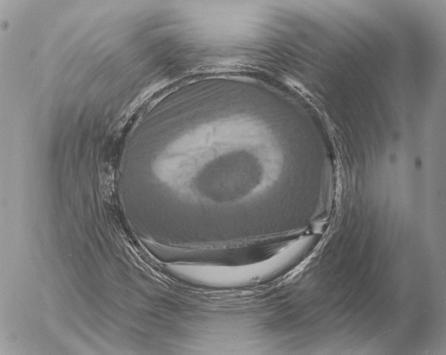 X0000053061449200508081142