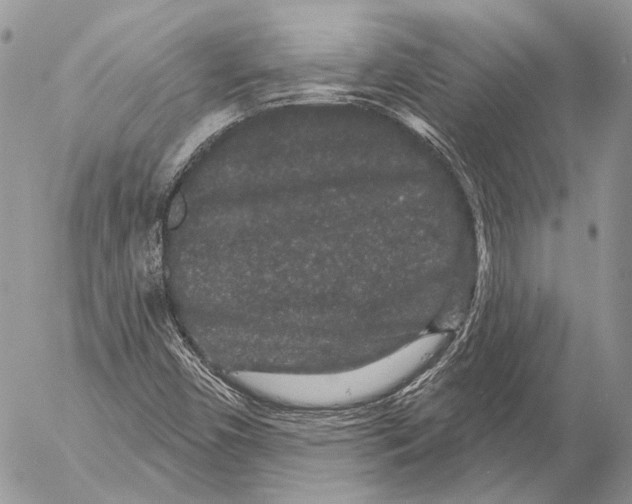 X0000053061450200508081142