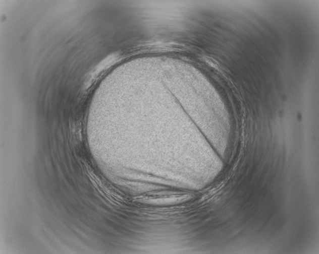 X0000053061451200508081142