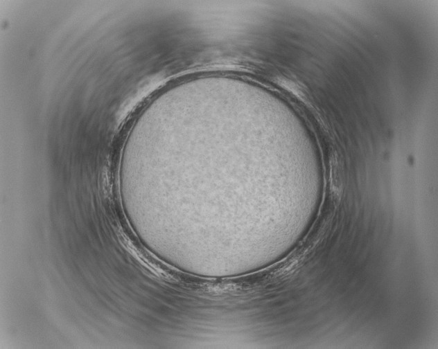 X0000053061452200508081142