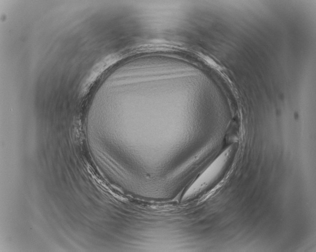 X0000053061453200508081142