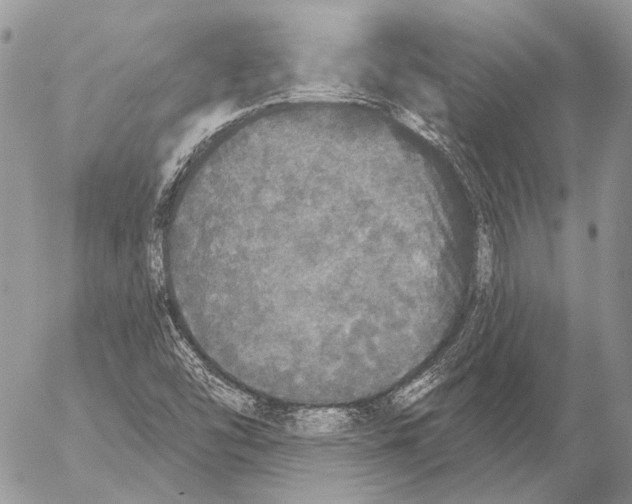 X0000053061454200508081142