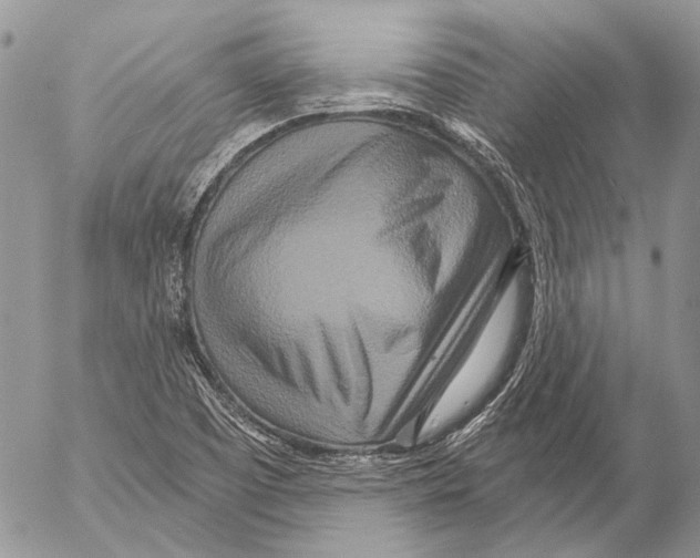 X0000053061457200508081142