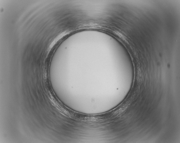 X0000053061458200508081142