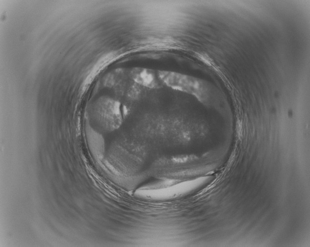 X0000053061459200508081142