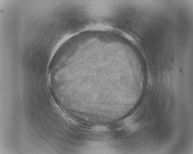 X0000053061462200508081141