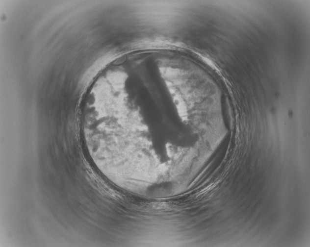 X0000053061463200508081141