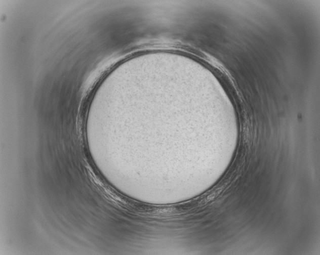 X0000053061464200508081141